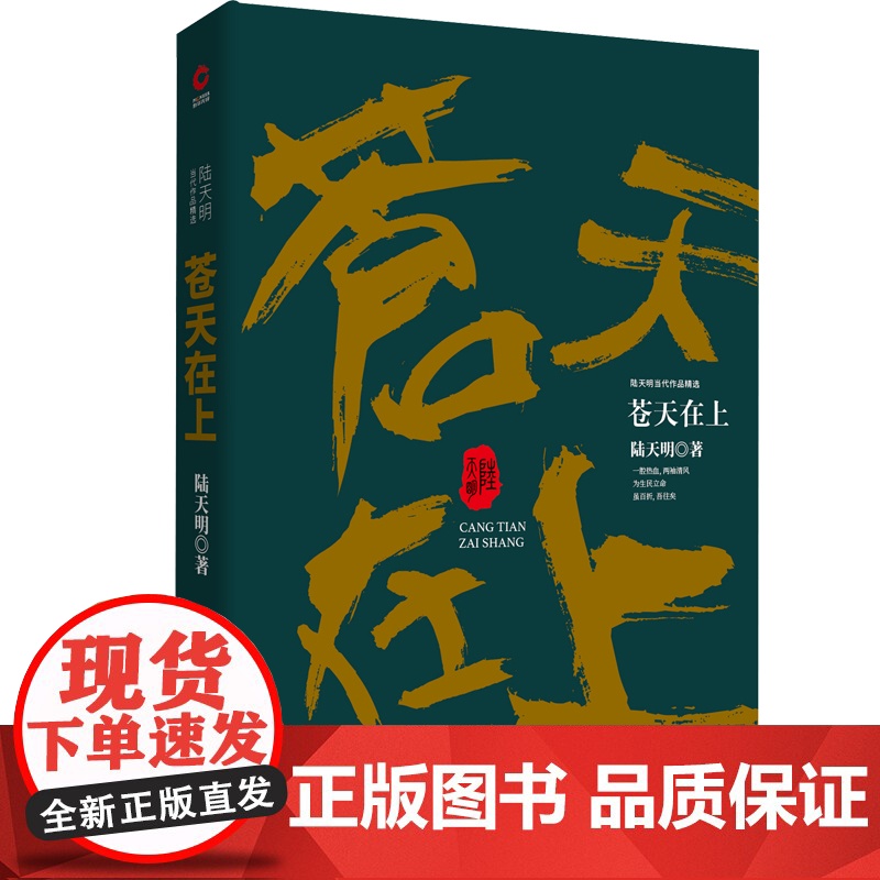 陆天明当代作品精选:苍天在上高清大图