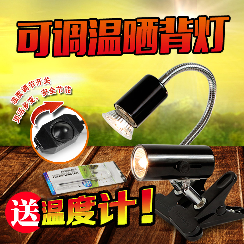 乌龟缸加热灯乌龟晒背灯龟缸全光谱UVA+UVB3.0太阳灯鱼缸晒背灯高清大图
