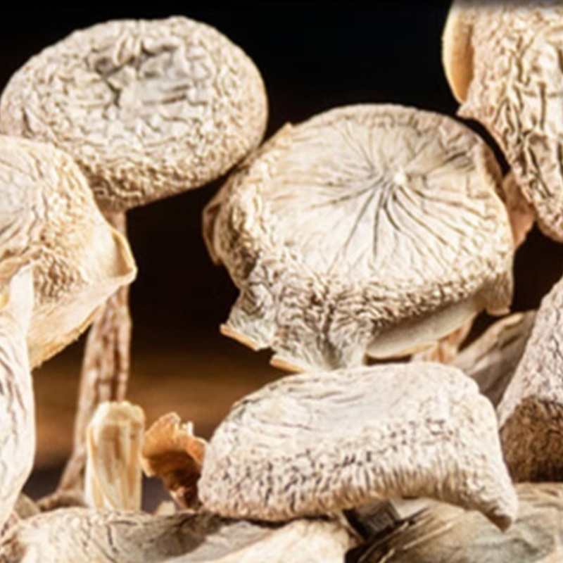 绿帝干货礼盒果肉紧实美味香甜菌菇桂圆红枣味崇山海系列800g高清大图
