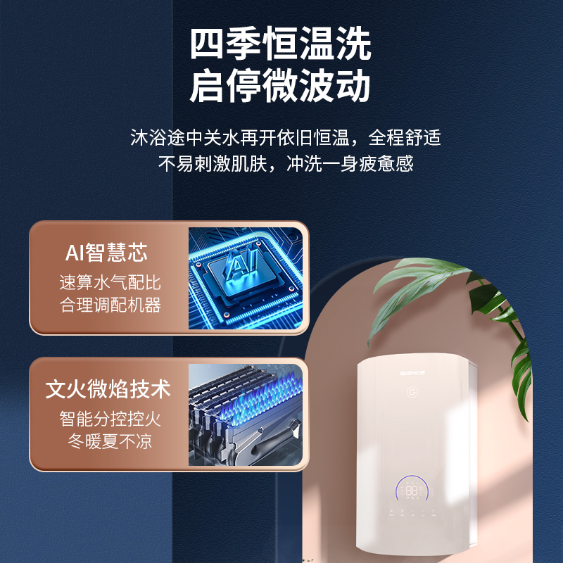 格林姆斯（glemos）燃气 家用强排式 双热水器