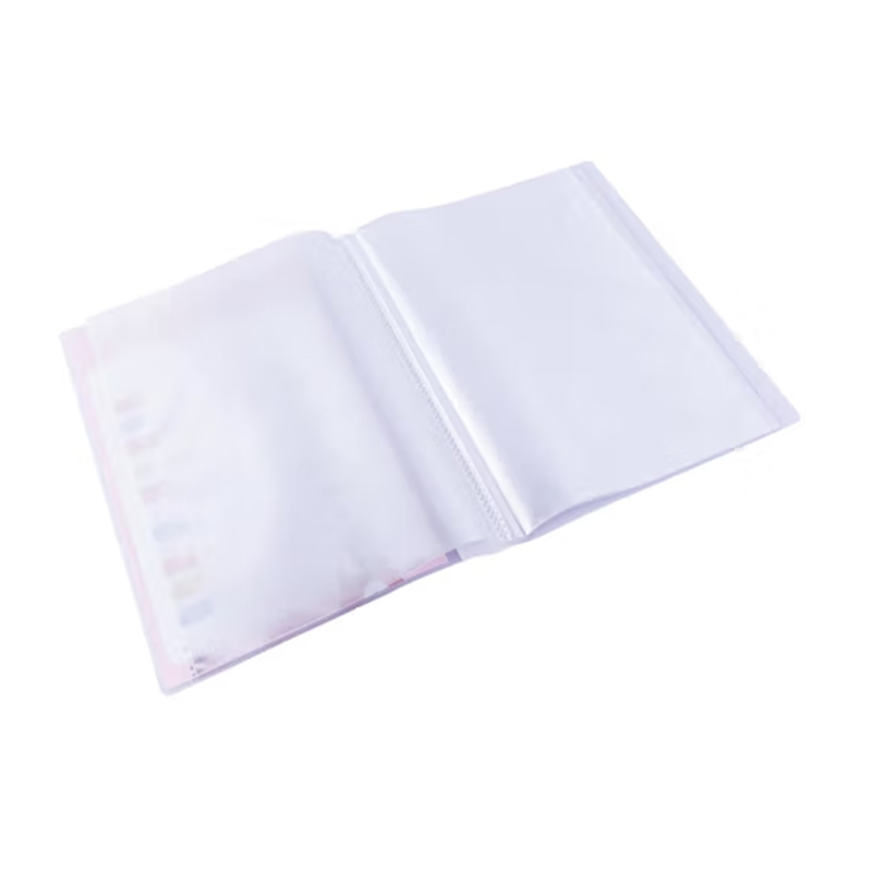 得力72576 羊驼系列插页袋 / 40页资料册 / 颜色随机(1个)(定制)
