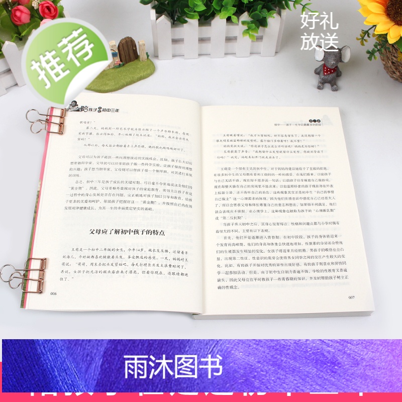 陪孩子走过初中三年正版家庭教育书籍青春期初中生家长阅读教育孩子的书籍家教陪我走过初中三年怎么和青春期的孩子交流带孩子高清大图