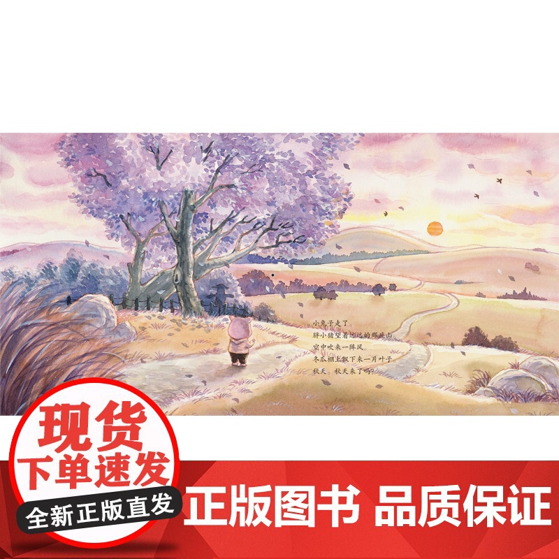 冬瓜吉他 小樟树原创图画书少年儿童出版社少儿故事图画书心灵成长励志读物高清大图