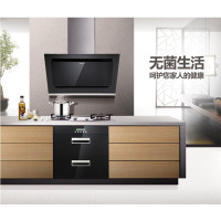 普田消毒柜ZTD95G-07B