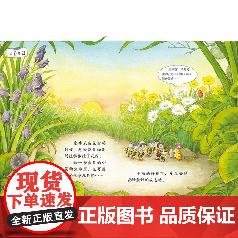 我的日记系列:蜜蜂的日记精装绘本图画书适合3岁以上幼儿园中少社正版童书高清大图