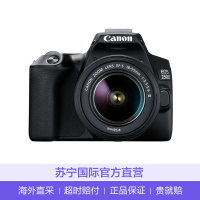 佳能(Canon)EOS 250D 数码单反相机18-55mm stm单镜头套装 同国行200DII