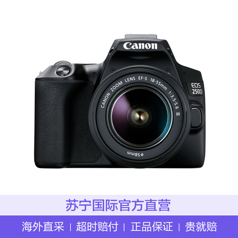 佳能(Canon)EOS 250D 数码单反相机18-55mm stm单镜头套装 同国行200DII