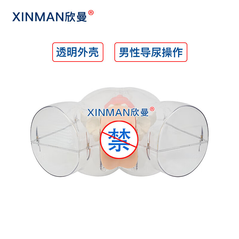 欣曼科教 高级透明男性导尿模型 男性透明导尿操作训练模拟人 医学教学模型 XM-H14高清大图