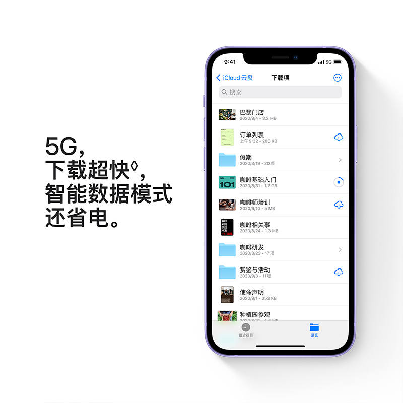 [2021新款上市]Apple iPhone 12 256G 紫色 移动联通电信5G全网通手机 美版 裸机 [有锁]