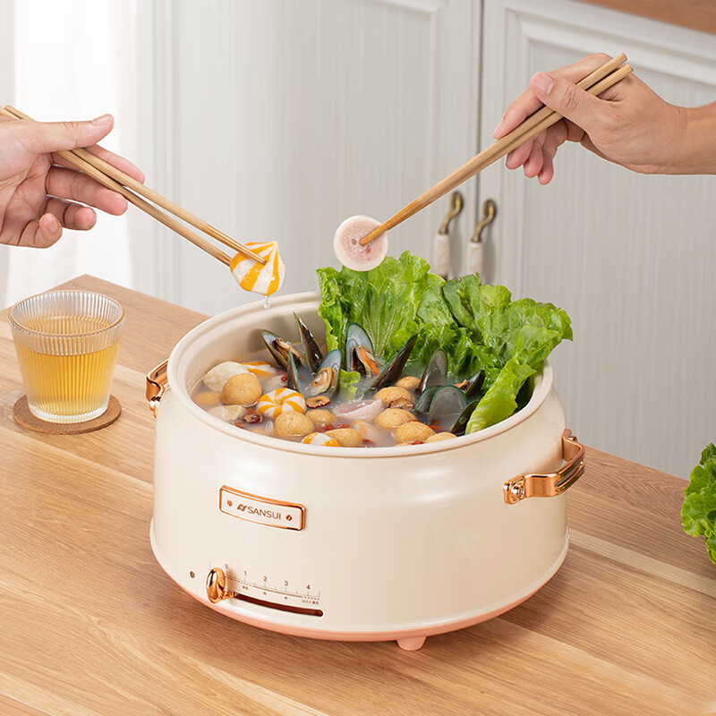 山水 分体式多功能电火锅SHG-5306高清大图