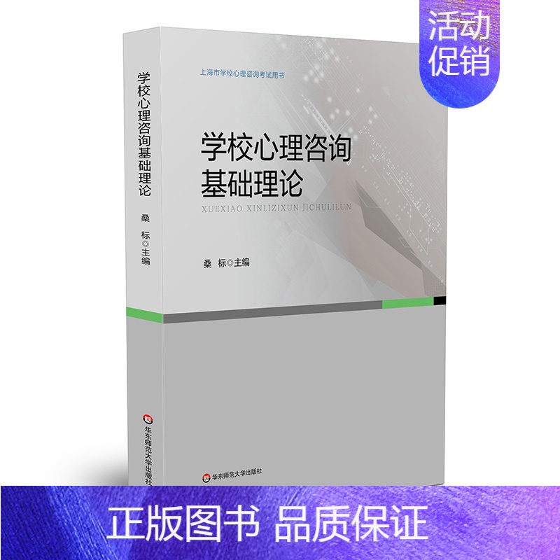 【正版】学校心理咨询基础理论 上海市学校心理咨询考试培训用书 桑标 普通 发展 社会心理学 学校心理咨询 华东师范大学