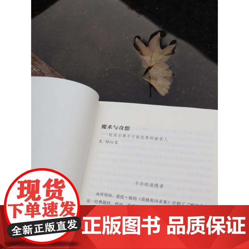 死亡与魔术师 大魔术师系列 卫报年度犯罪惊悚小说汤姆米德著烧脑推理上海文化出版社侦探小说密室之王鸡丁作序另有谋杀之轮高清大图