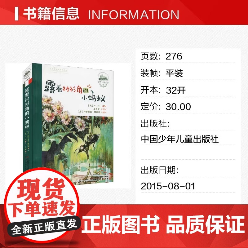正版童书 露着衬衫角的小蚂蚁 世界儿童文学典藏馆 昆虫王国曲折生动的传奇经历 尊重并善待每一个小生命 热爱并呵护大自然高清大图