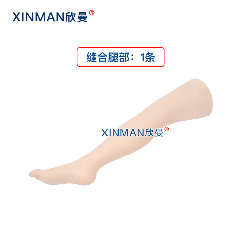 欣曼科教 高级外科综合技能训练组合模型XM-LV70高清大图