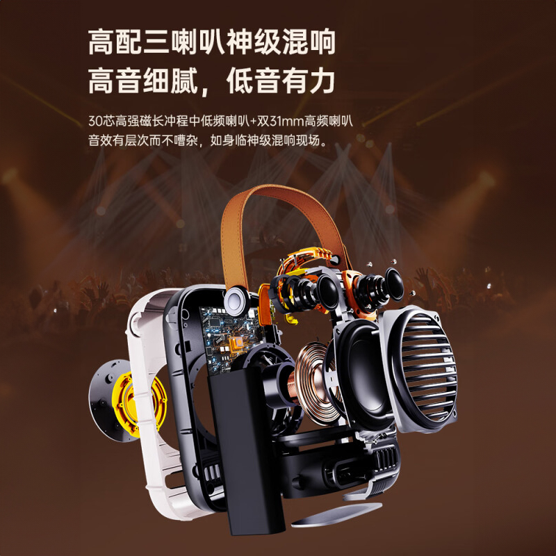 Divoom点音k歌蓝牙音响带双麦克风家用话筒音箱一体家庭ktv户外便携式唱歌音箱节日礼物 东方玲珑pro高清大图