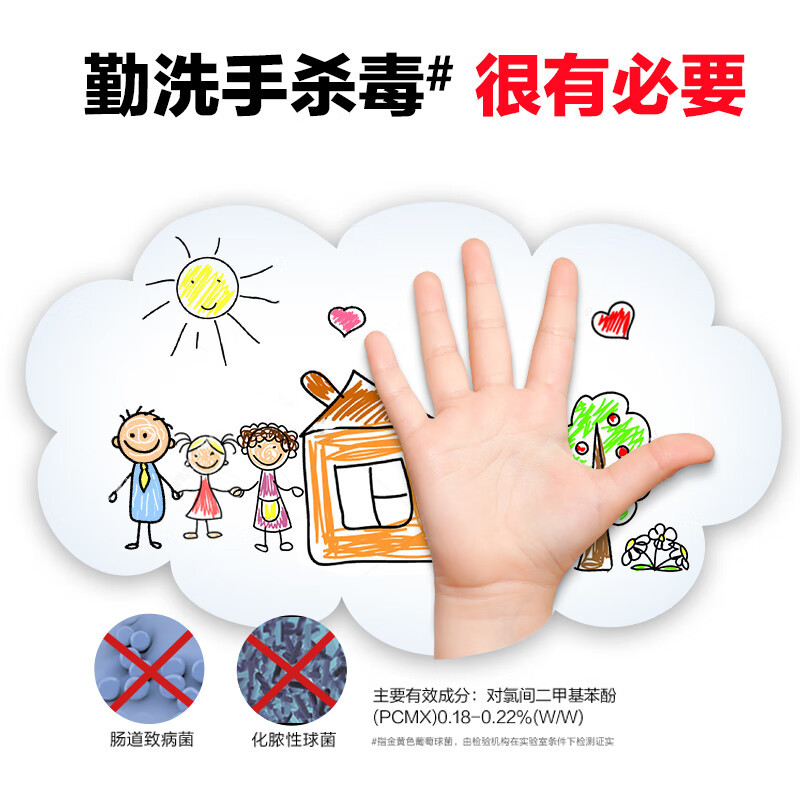 威露士(Walch)泡沫抑菌洗手液健康呵护300ml