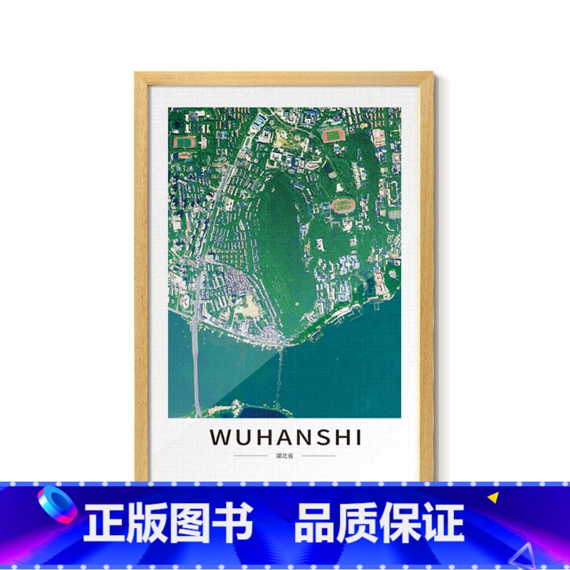 [43*63cm]武汉 [正版]北斗卫星影像图框挂画 客厅卧室办公室墙面装饰框画图 沙发背景墙壁画 武汉市天山雅鲁藏布大