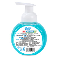 爱恩倍免洗抑菌洗手液280ML