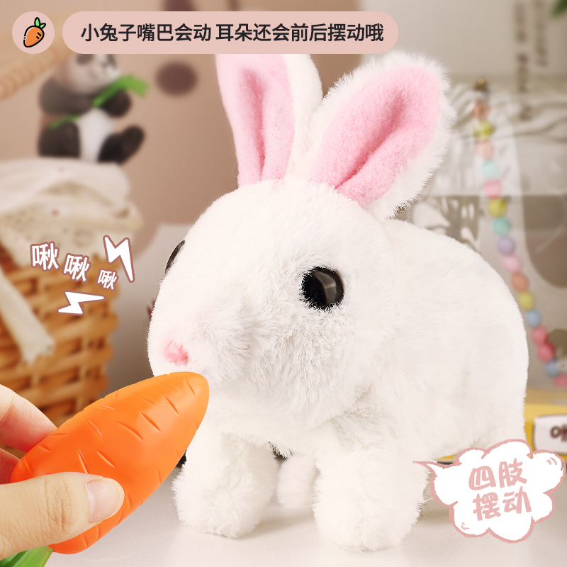 【拉杆手提收纳三合一】高清大图