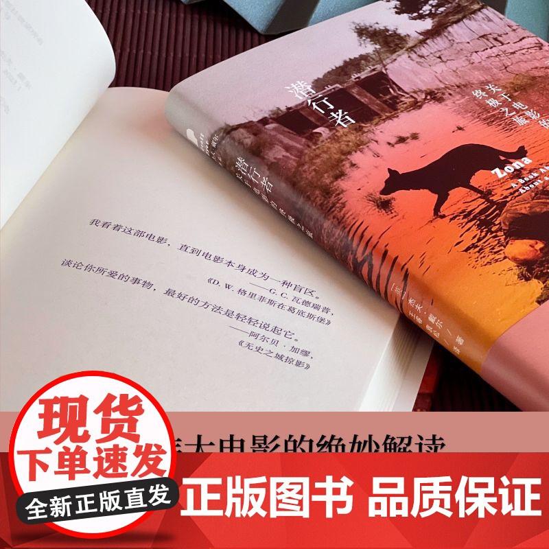 潜行者:关于电影的之旅(杰夫·戴尔作品系列)高清大图
