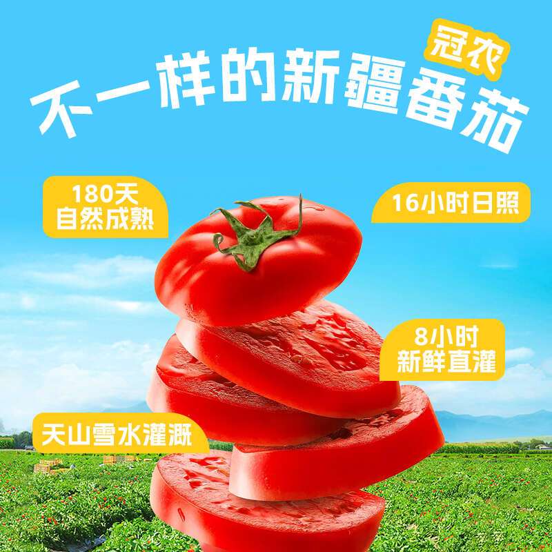 冠农股份(GUAN NONG SHARE)疆特产番茄丁210g*3罐自然熟西红柿丁番茄罐头番茄酱