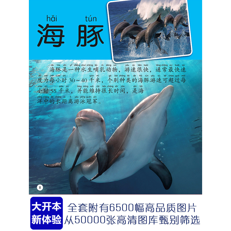 地球大百科 [正版]海洋动物大百科彩图注音版海底世界鱼类哺乳类海鸟甲壳类软体动物3-6-9-10岁学生少儿童科普科学启蒙