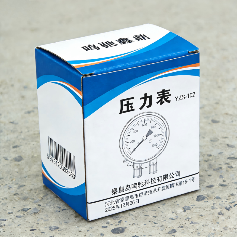 鸣驰鑫鼎 压力表 YZS-102 个高清大图