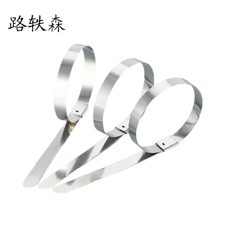 路轶森 不锈钢扎带 12mm*5000mm 条高清大图