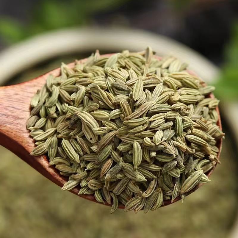 [新人特惠]香料调料 小茴香 120g/罐 一罐装 家用做菜调料