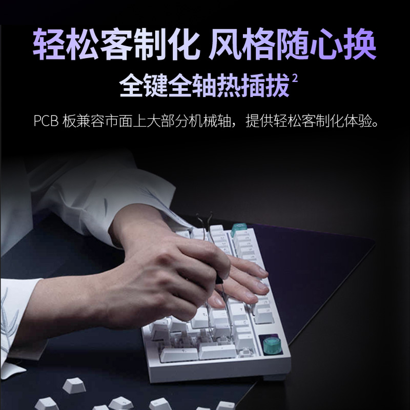 罗技G 闪逸龙G316X8K客制化游戏键盘98配列定制联名款电竞有线高清大图