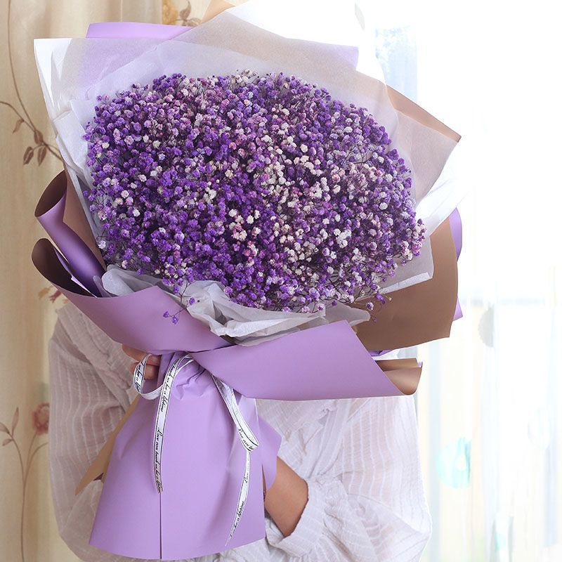 大束满天星干花花束鲜花速递毕业照送闺蜜老婆女友生日礼物花束|粉色