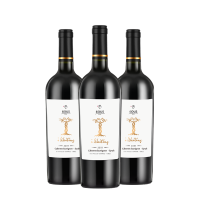 SIDUS WINE 原瓶进口正宗智利葡萄酒 星得斯 12.5度750mL 三瓶