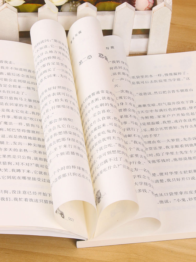 喜乐与我 [正版]喜乐与我 升级版 纽伯瑞儿童文学奖金奖儿童课外文学书籍8-9-10-12岁书 小学生课外阅读四五六高清大图