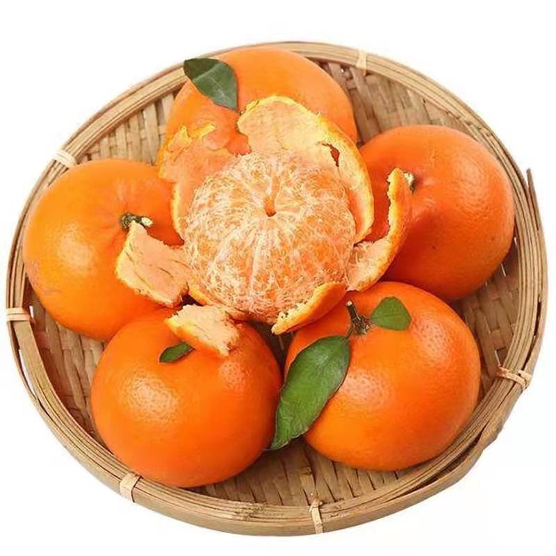 鲜贝达 精选沃柑9斤装[单果60mm以上]水果VC