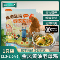 【苏鲜生推荐】雀淘 皖南金凤黄油老母鸡2.3-2.6斤/只 1只装 新鲜现杀冷冻净膛竹林慢养鸡走地鸡