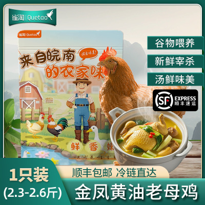 [苏鲜生推荐]雀淘 皖南金凤黄油老母鸡2.3-2.6斤/只 1只装 新鲜现杀冷冻净膛竹林慢养鸡走地鸡