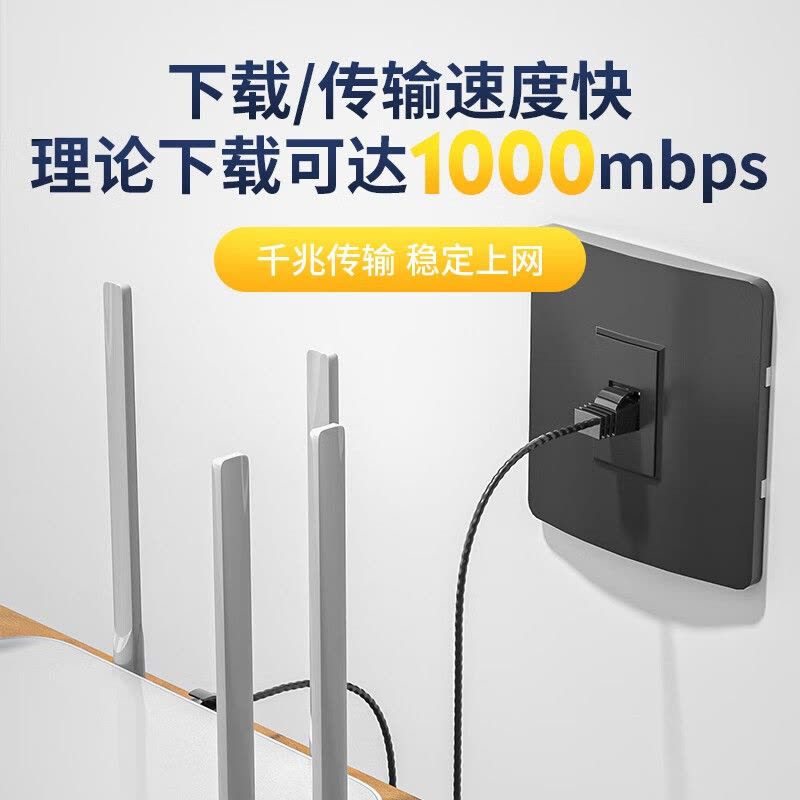 礼嘉/LIJIA 网线LJ-6B15 15 黑色 非屏蔽图片