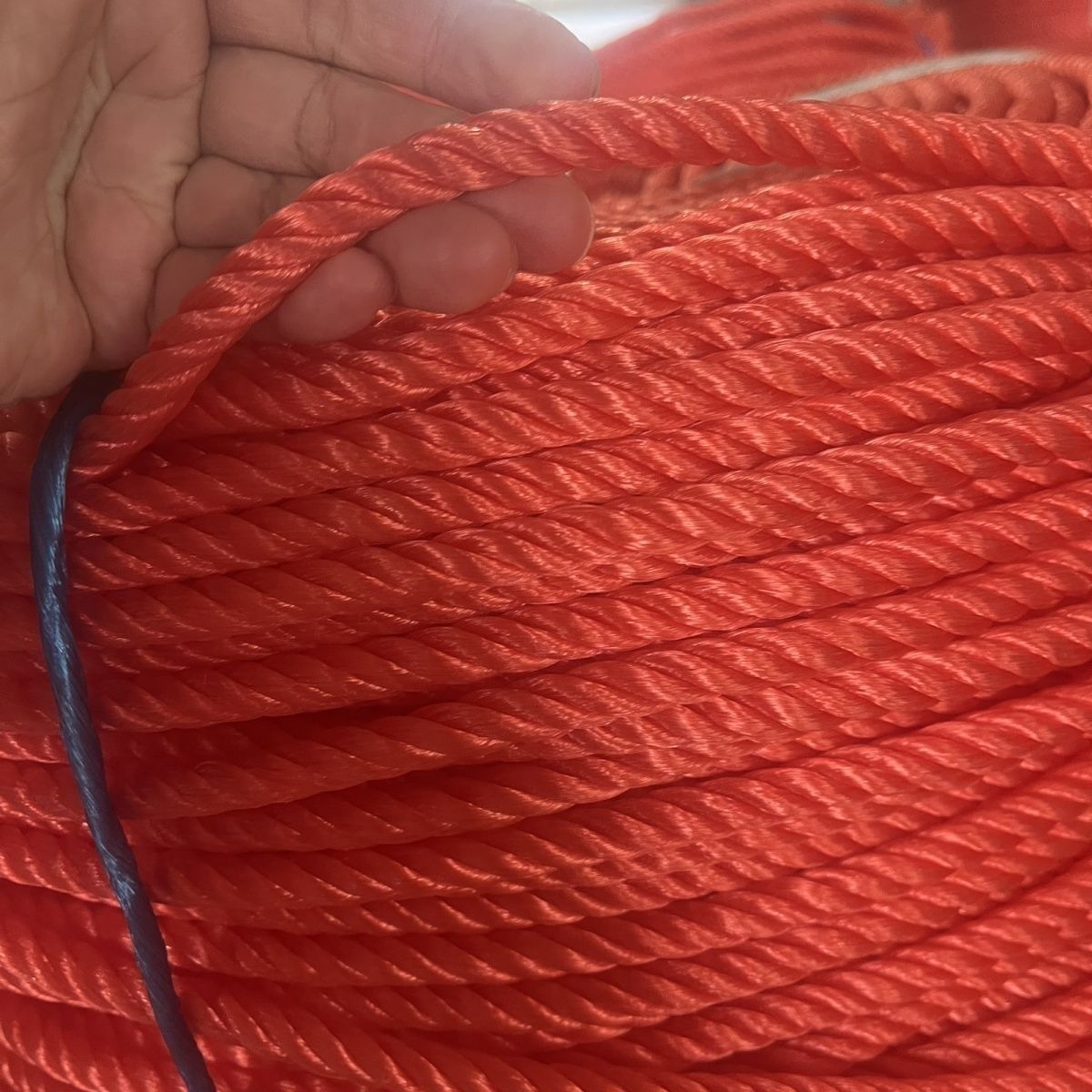 欣欣妍宸 尼龙绳 8mm/米高清大图