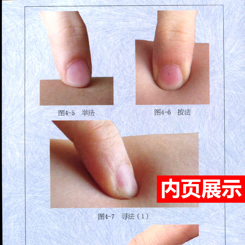[正版] 濒湖脉学歌诀速记图卡 第二版第2版 中医速记图卡丛书 中医诊脉白话图解 中医诊断学 黄泳 陈俊琦主编 广东科高清大图