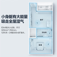 美的(Midea) 家用除湿机干衣/抽湿机除湿量12升/天家用干燥机干衣20㎡以下适用/地下室CF12BD/N7-DN