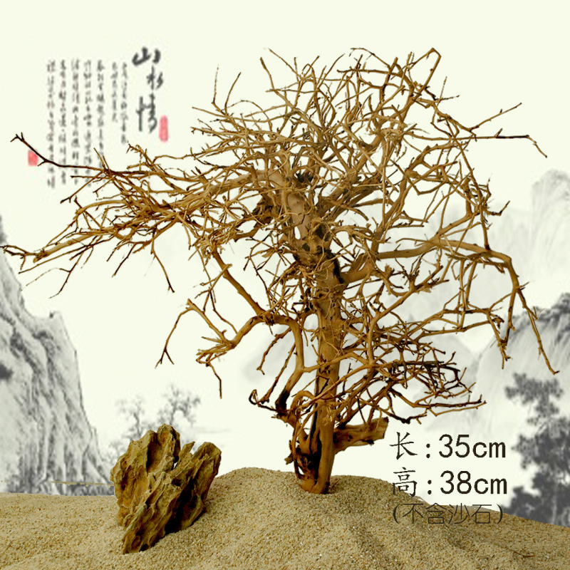 鱼缸造景沉木 泰国沉木流木水沉木 鱼缸水缸沉木小树形看图选购高清大图