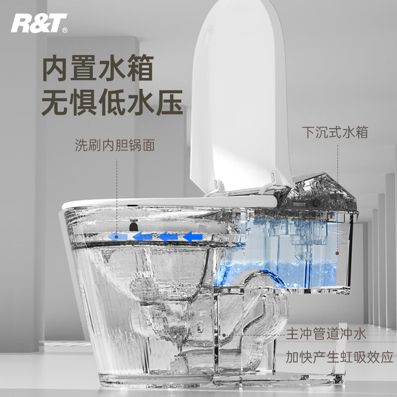 瑞尔特(R&T)智能马桶一体机带水箱脚感冲水座温调节轻智能坐便器 A1