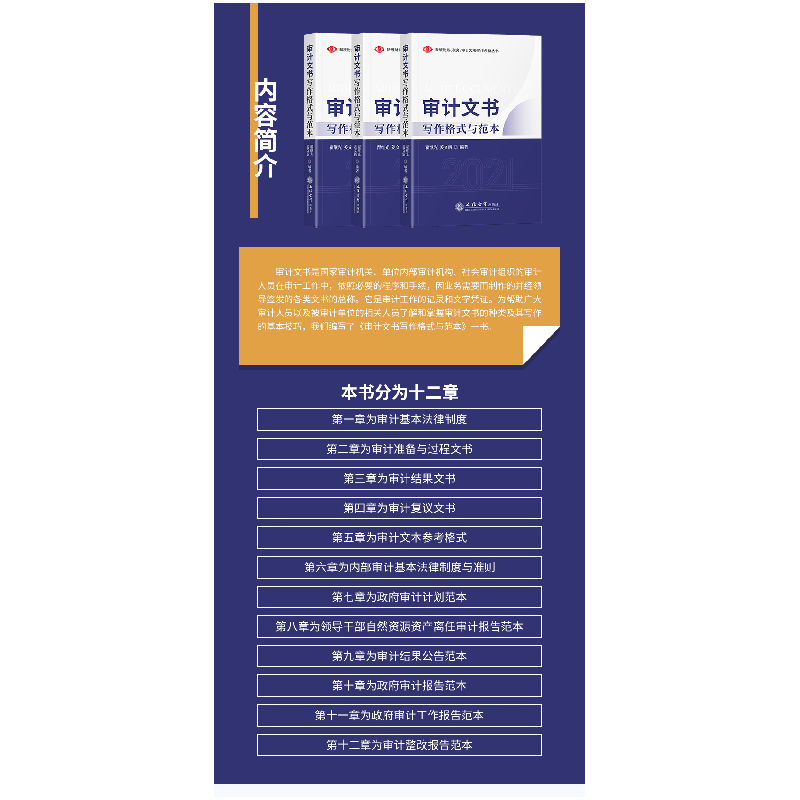 醉染图书审计文书写作格式与范本9787542968258高清大图