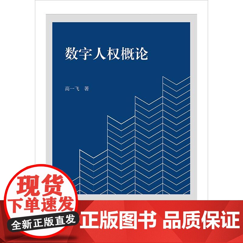 2025新书 数字人权概论 高一飞 著 法律出版社高清大图