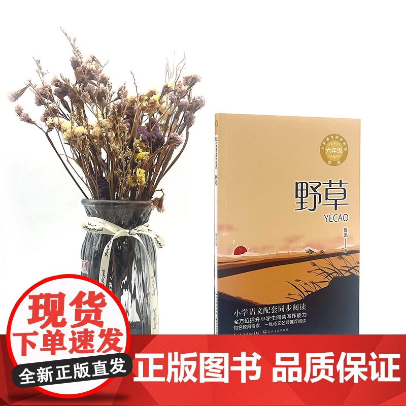 野草 鲁迅著 6六年级上册学期小学语文同步阅读书系教科书教材课文作家作品儿童文学 小学生必课外阅读书籍寒暑假书目读物正版高清大图