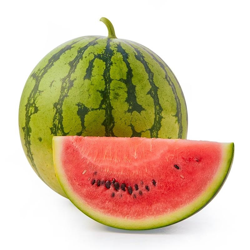 南汇8424西瓜jlf1