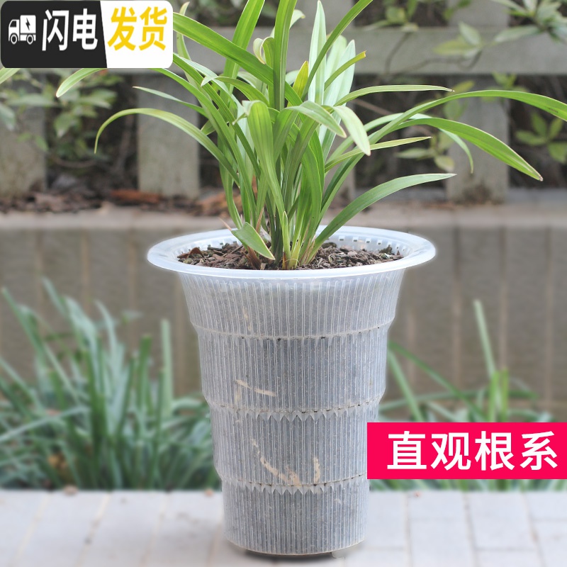 三维工匠透明兰花专用盆高透气双层控根塑料超紫砂陶瓷沥水罩兰花盆 口径13cm黑色兰花内盆[透气孔] 中等花盆容器高清大图