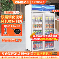 星星(XINGX)LSC-618Y 608升 双门冷藏展示柜 商用冰箱冷藏冰柜大容量 玻璃门立式饮料柜