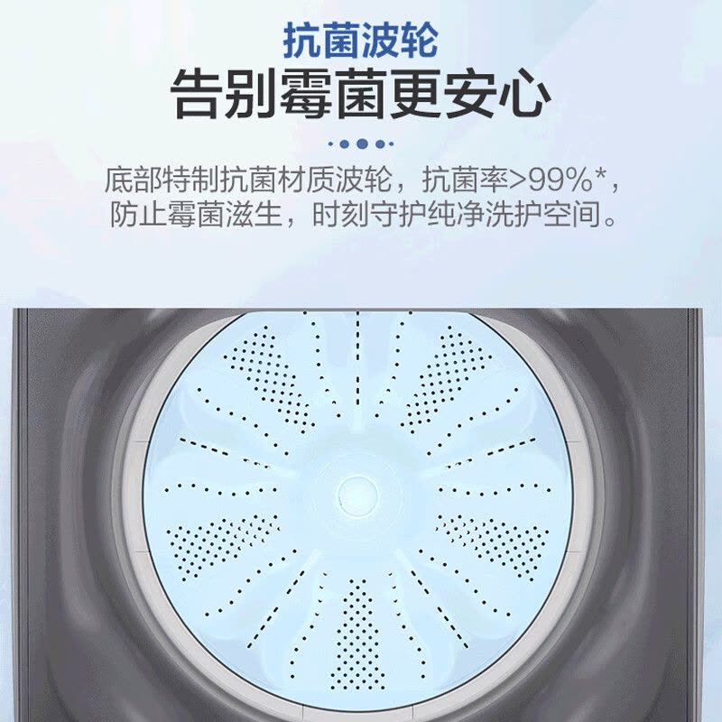海尔(Haier)XQB120-Z5088波轮洗衣机全自动家用12KG大容量二级能效 智能预约直驱变频自编程漂甩合一图片