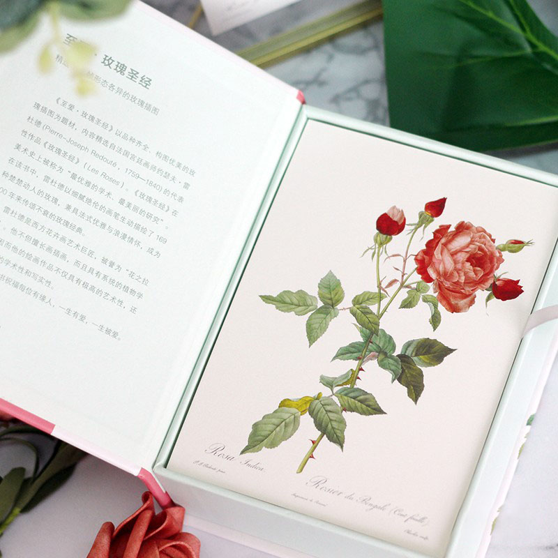 [正版]出类艺术明信片 至爱玫瑰圣经 雷杜德精美手绘玫瑰插图 创意生日贺卡手绘花卉画集文艺小清新明信片高清大图